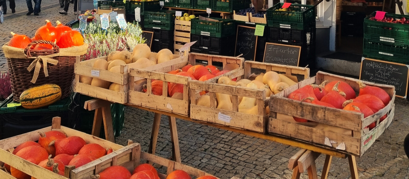 Regional-Schmecken-Bustour Arnstadt